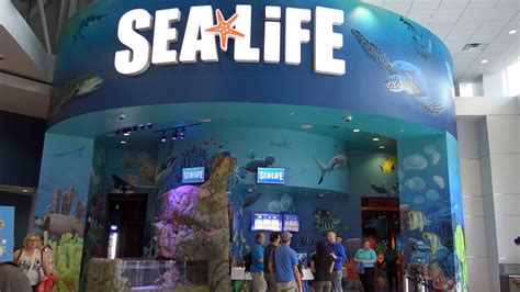 Sea Life Aquarium New I Drive 360 Entertainment Complex Home Of