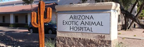 Arizona Exotic Animal Hospital Veterinary Care For Exotic Pets In