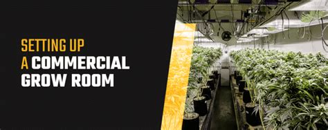 How To Set Up A Commercial Grow Room Grow Room Checklist