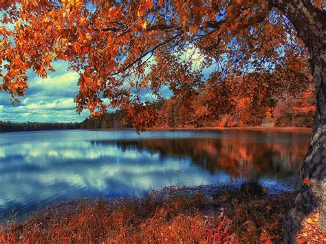 Peaceful Lake View Photograph By Bill Wranich Fine Art America