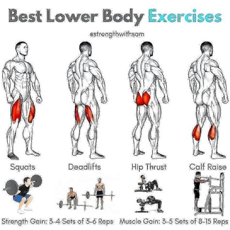 Best Lower Body Exercises🔥💪💯 For More Content Follow Us 👉 Fitnessloverspoint Credit