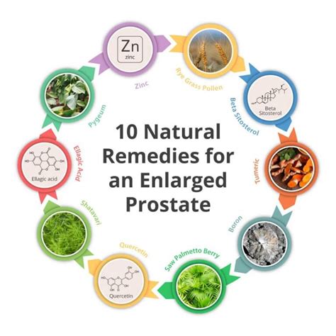 Herbs For An Enlarged Prostate Bph Ben S Natural Health