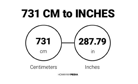 731 Cm To Inches