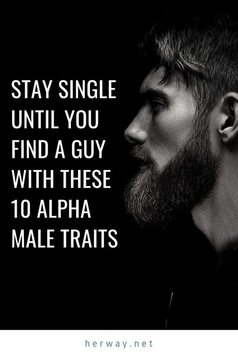 Stay Single Until You Find A Guy With These Alpha Male Traits Alpha Male Traits Alpha Male