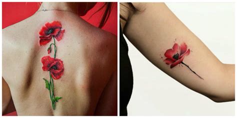Tatuajes De Amapolas Tatuajes Adorables De La Flor De Amapola Para Las