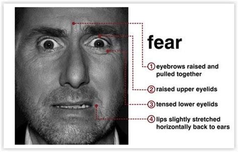 This Is How To Read Emotions From Another Persons Eyes Inner