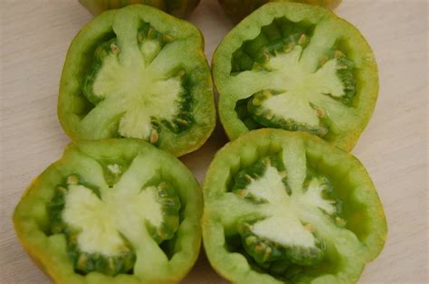 Striped Green Bell Tomato Vertiloom