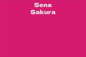 Sena Sakura Facts Bio Career Net Worth Aidwiki