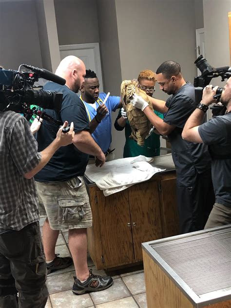 Gallery - Dr. Vernard Hodges