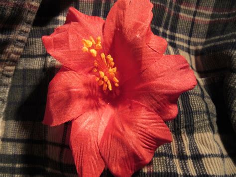 National physical plan (npp), the national strategic spatial planning policies and measures, is drafted by the federal department of town and country planning under the provision of section 6b of the act 172. Hibiscus - national flower of Malaysia | Plant-Lore