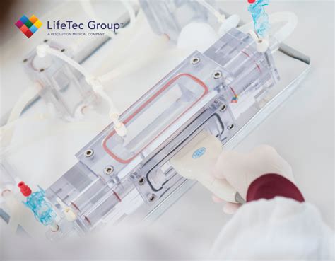 Vascular Bioreactor Lifetec Group