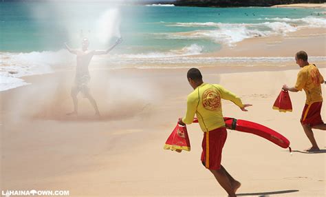 So camels have many great qualities, but how many o f us would describe camels as a beautiful? 36 Things That Can Kill You in Hawaii