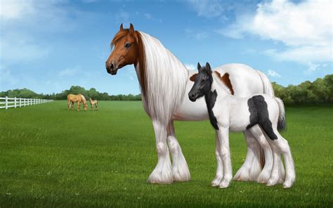 Beautiful Horse Wallpaper (66+ images)