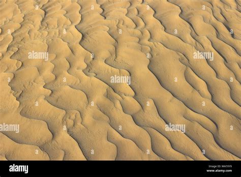 Amazingly Fine Particles Of Sahara Desert Golden Sand Creating A