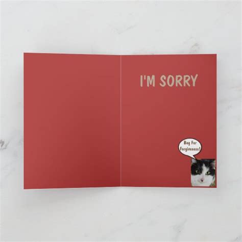 Goofy Cat Im Sorry Card Zazzle