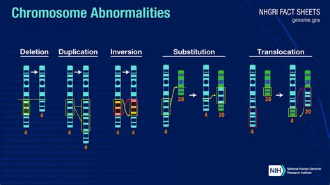 Structural Abnormalities Of Chromosome