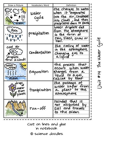 Water Cycle Questions Worksheet Answers