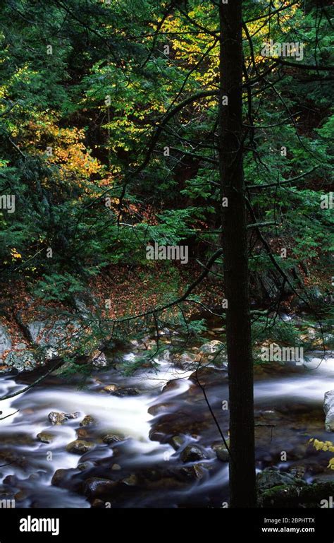 Middlebury River Green Mountain National Forest Vermont Stock Photo