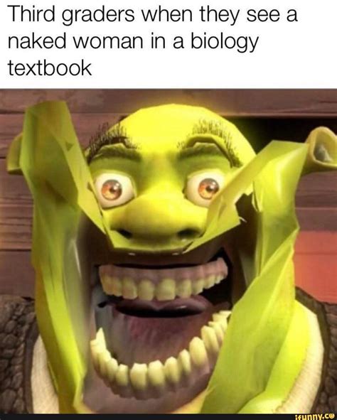 Pin On Funny Shrek Memes