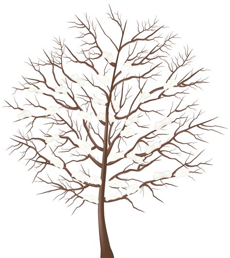 Winter Tree Branch Transparent Png