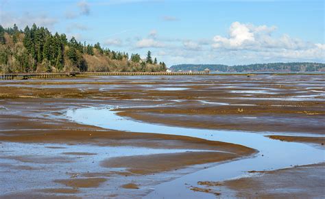 Billy Frank Jr Nisqually National Wildlife Refuge Alliance For A