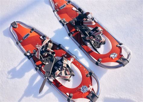 Best Snowshoes Experts Buying Advice And Top Picks Reviews