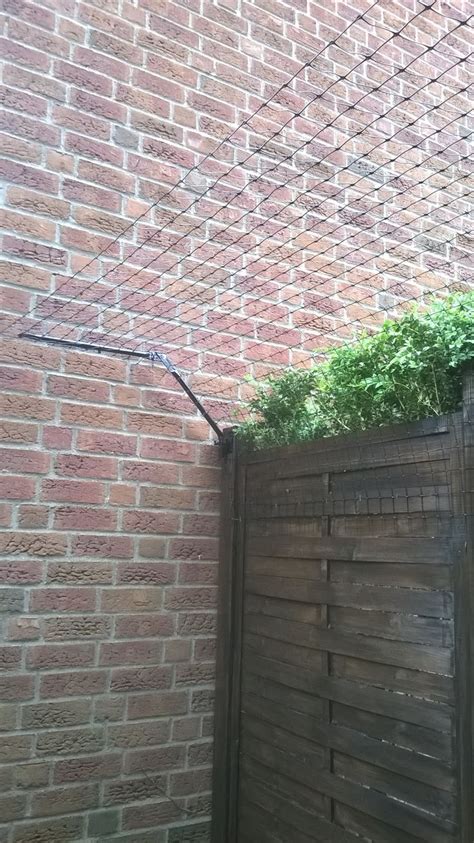 Allerdings nur in unserem garten. Sichere Gartenvernetzung in Hamburg. Katers sicherer ...