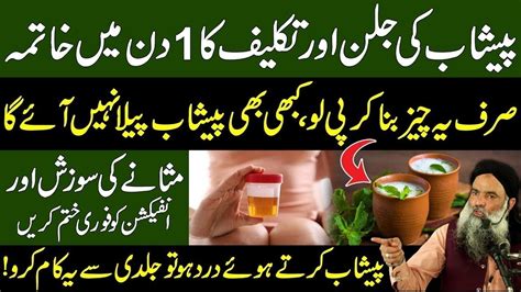 Urine Infection Treatment Peshab Ki Nali Mein Infection Ka Ilaj Urine Problem Dr Sharafat