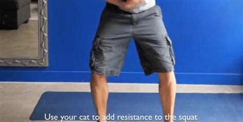 Exercises You Can Do At Home Album On Imgur