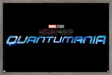 Marvel Ant Man And The Wasp Quantumania Logo Wall Poster 14725 X