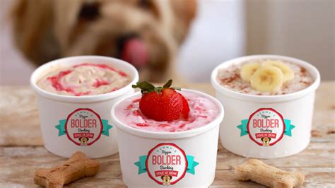 Doggy Ice Cream That Your Dog Will Go Bonkers For All Created