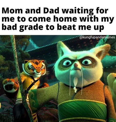 Kung Fu Panda Meme On Instagram “theyll Skadoosh The Heck Out Of Me
