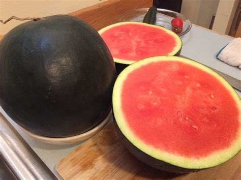 Cook With Susan Watermelon
