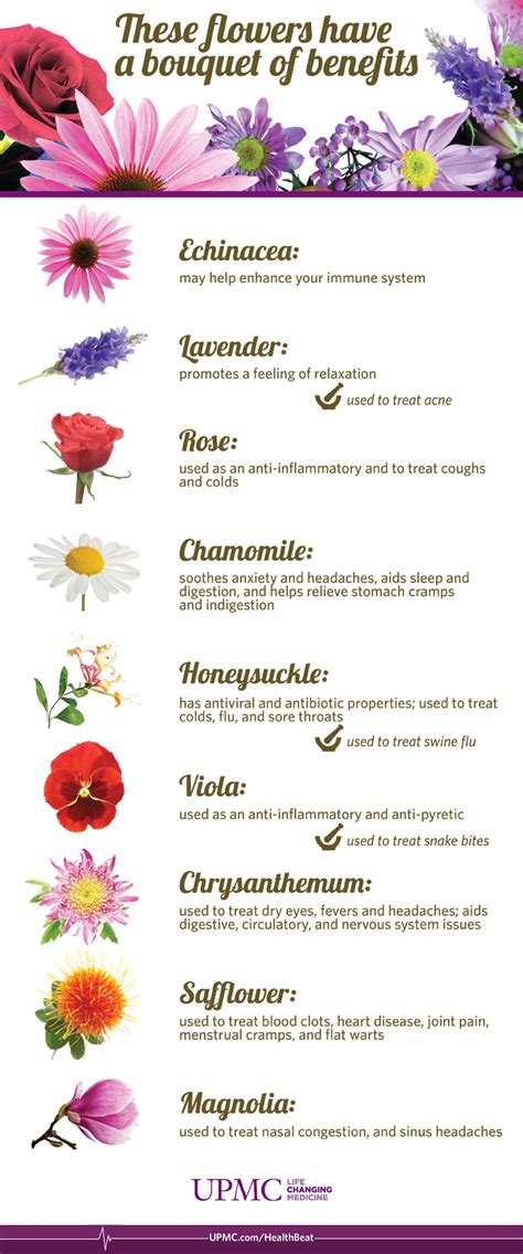 Infographic Health Benefits Of Flowers Upmc Healthbeat