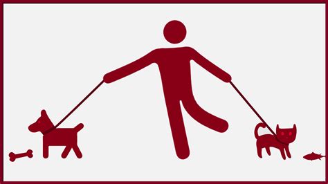 Conflict of interest in research financial interest. ⛔ Value conflict examples. 3 Common Workplace Conflicts ...