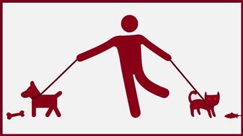 This happens when a person has a divergence between what she might gain on a personal, perhaps financial level, and her professional responsibilities. Value conflict examples. 3 Common Workplace Conflicts ...