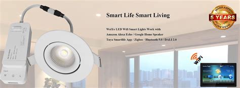 Maybe you would like to learn more about one of these? LED Smartlife WIFI downlight | Smart lighting, Smart ...