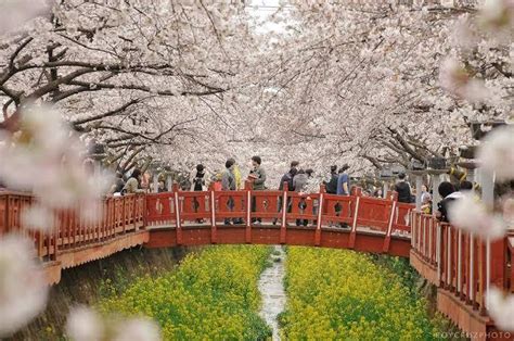 10 Taman Di Korea Yang Wajib Dikunjungi Untuk Liburan