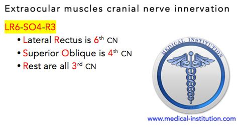 Extraocular muscles Mnemonic - Best Medical Mnemonics