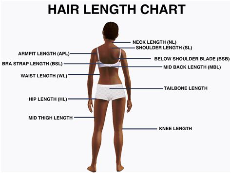 Maybe you would like to learn more about one of these? Sdestra: Determining Hair Length And Landmarks On Your Body
