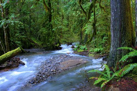 Rdp Photography Umpqua National Forest Oregon