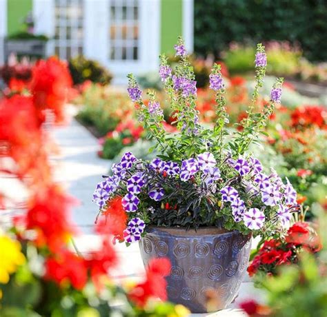 15 Beautiful Front Yard Container Garden Ideas That