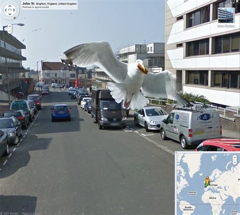 Die satellitendaten in google maps sind normalerweise zwischen 1 und 3 jahre alt. rhetorik.ch aktuell: Vogel auf Google Streetview