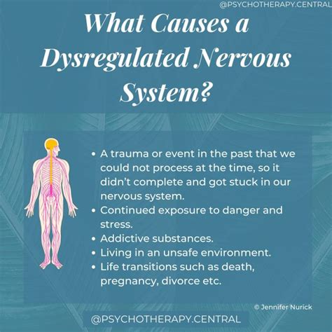 What Causes A Dysregulated Nervous System