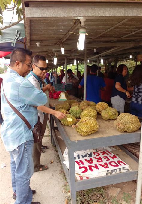 Kalau bisa, dengan mengeluarkan biaya sesedikit mungkin. Tertunailah Hasrat Di Hati: Durian Viral Di Mantin