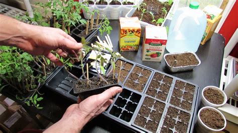 I have pointers on how to create a gardening plan for more harvest and less stress (as well as the garden planning mistakes to avoid). Starting Vegetable Seeds Indoors: Planting, Watering ...
