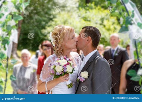 beaux jeunes baisers de couples de mariage photo stock image du visage lifestyle 42348442