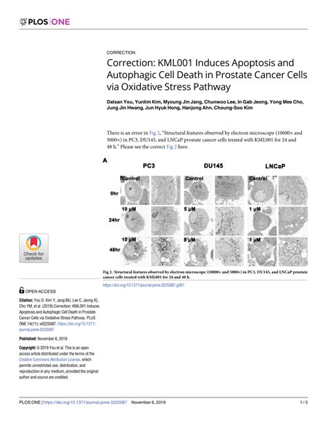 pdf correction kml001 induces apoptosis and autophagic cell death in prostate cancer cells
