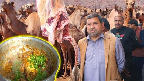 Urdupoint.com 23.877 views4 months ago. Dunia Ki Sab Say Bari Camel Market Aor Camel Meat Karahi ...