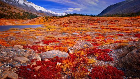 Nature Landscape Mountains River Water Jasper National Park